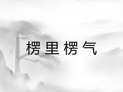 楞里楞气