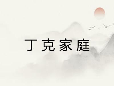 丁克家庭