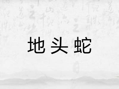 地头蛇