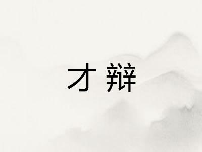 才辩