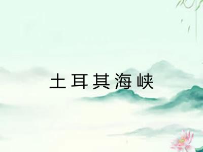 土耳其海峡