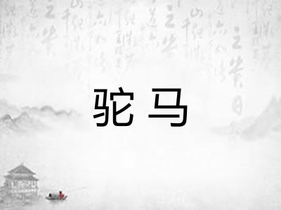 驼马