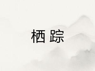 栖踪