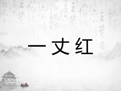 一丈红