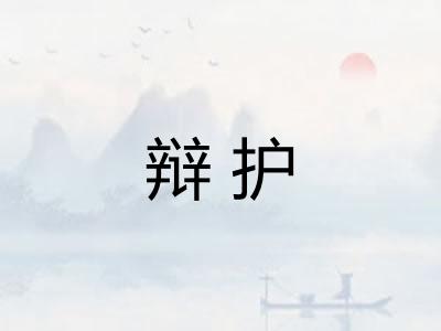 辩护
