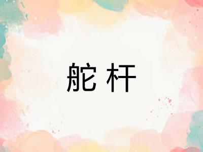 舵杆