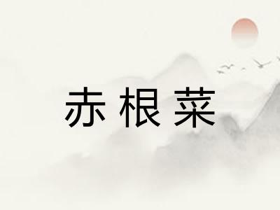 赤根菜