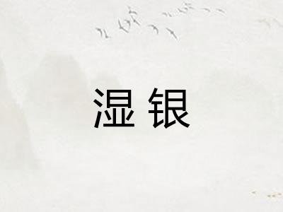 湿银