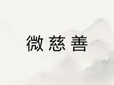 微慈善