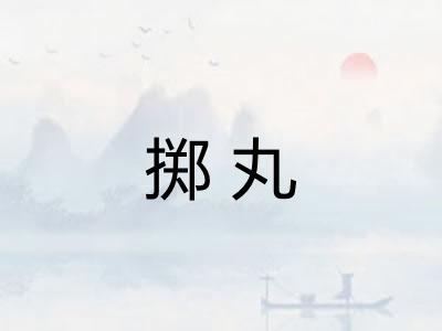掷丸