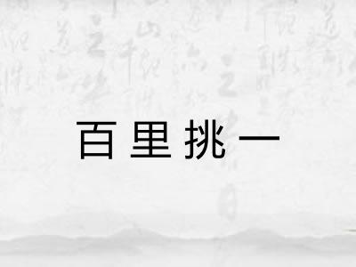 百里挑一