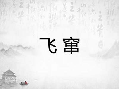 飞窜