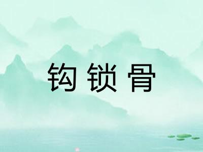 钩锁骨