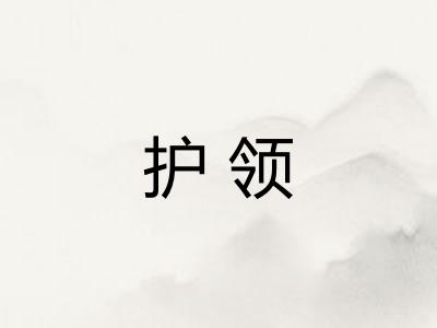 护领