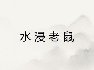 水浸老鼠
