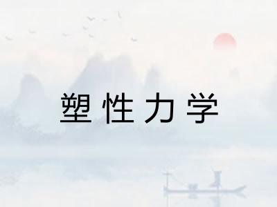 塑性力学