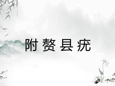 附赘县疣
