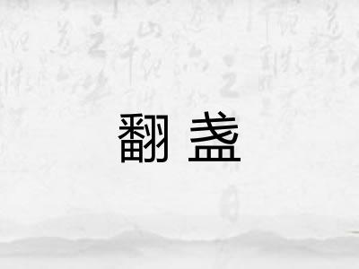 翻盏