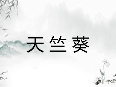 天竺葵