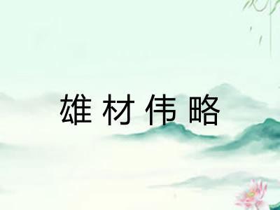 雄材伟略