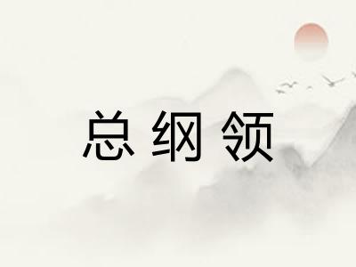 总纲领
