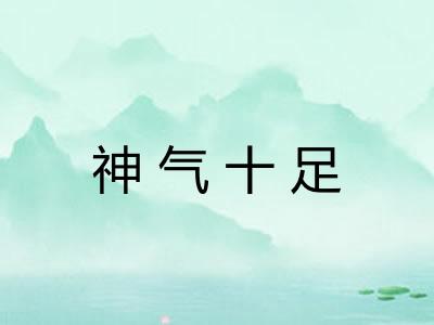 神气十足