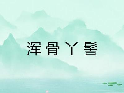浑骨丫髻