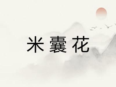 米囊花