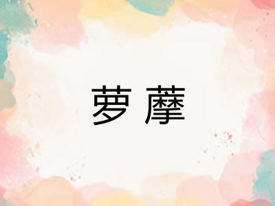 萝藦