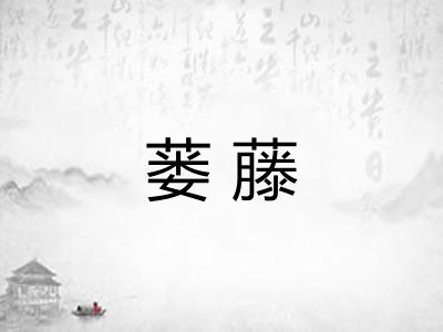 蒌藤