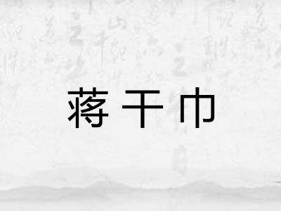 蒋干巾