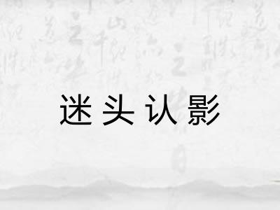 迷头认影