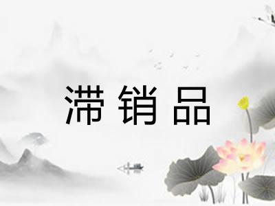 滞销品