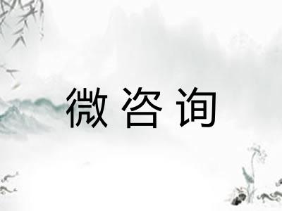 微咨询