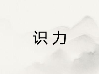 识力