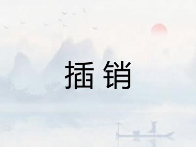 插销