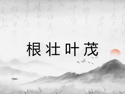 根壮叶茂