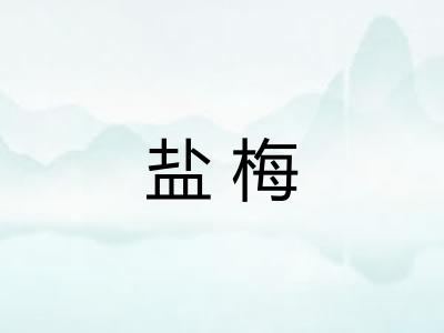 盐梅
