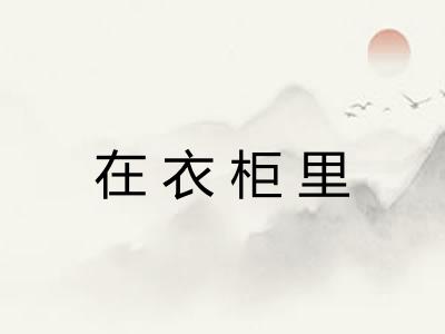 在衣柜里