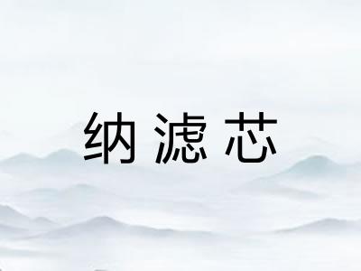 纳滤芯