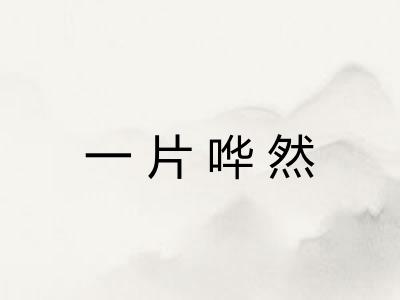 一片哗然