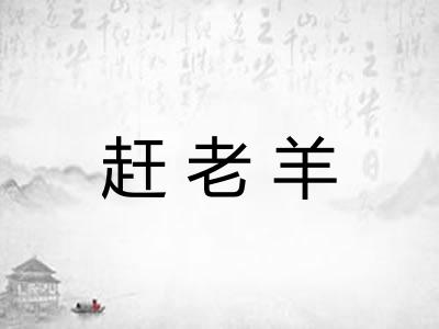 赶老羊