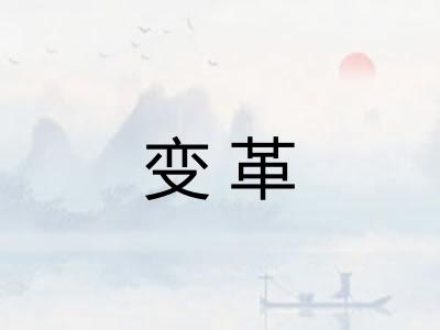 变革