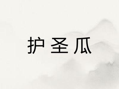 护圣瓜