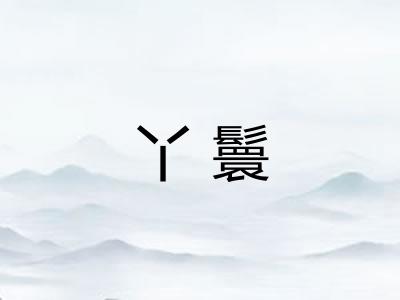 丫鬟
