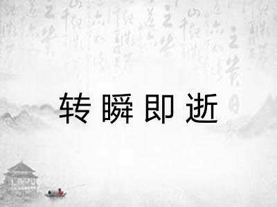 转瞬即逝