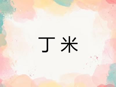 丁米