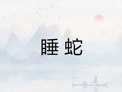睡蛇