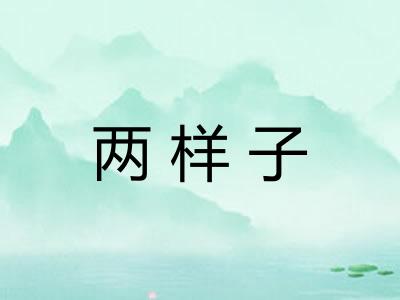 两样子