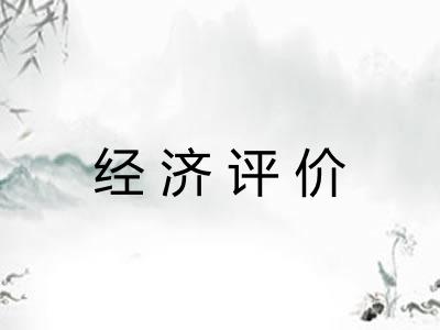 经济评价